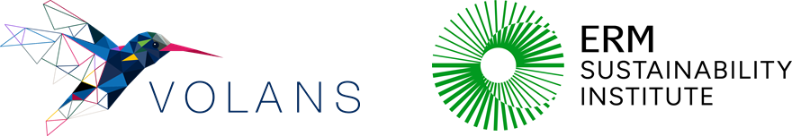 Survey page header logo text description